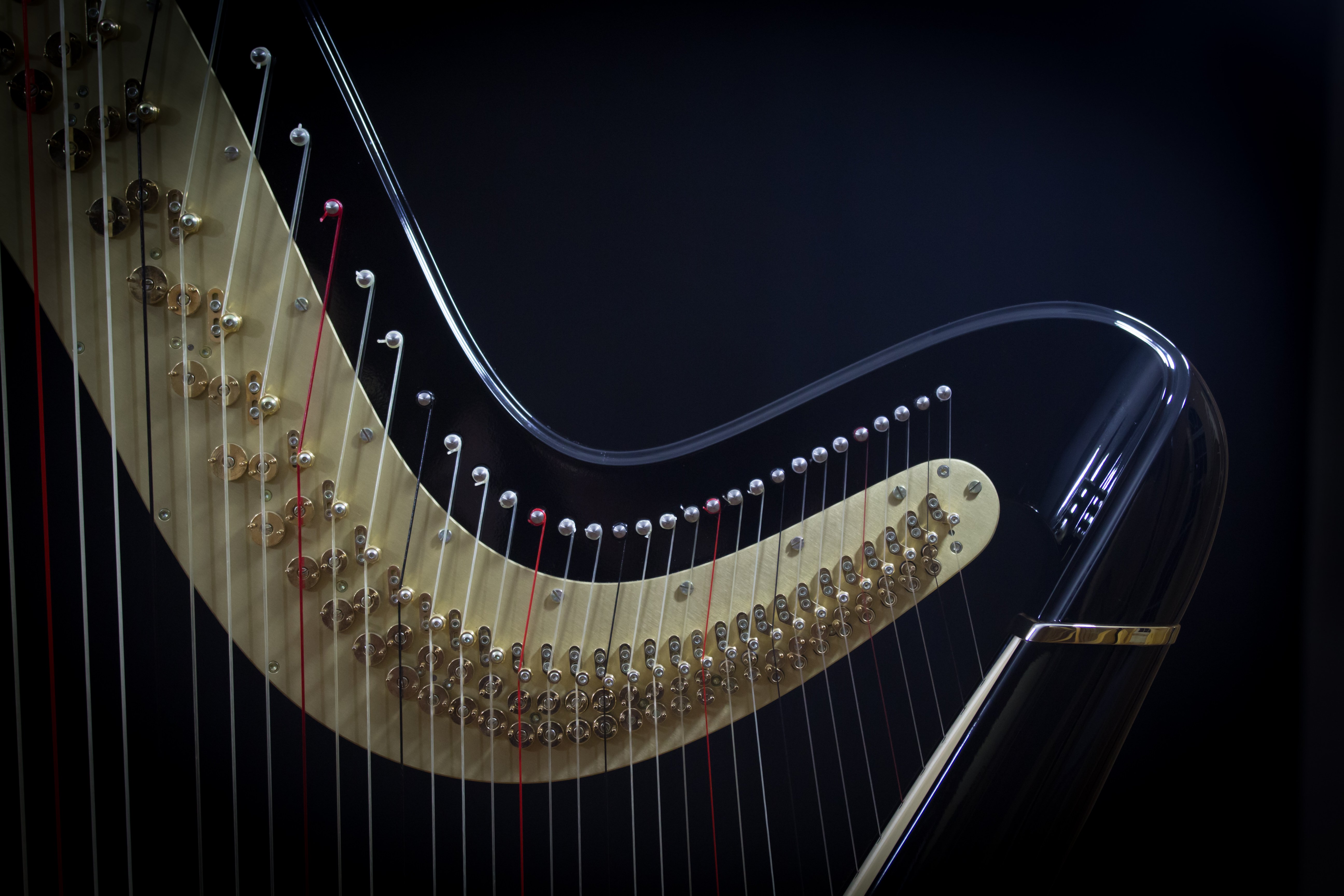 Rebecca Flinch harpe (2).jpg